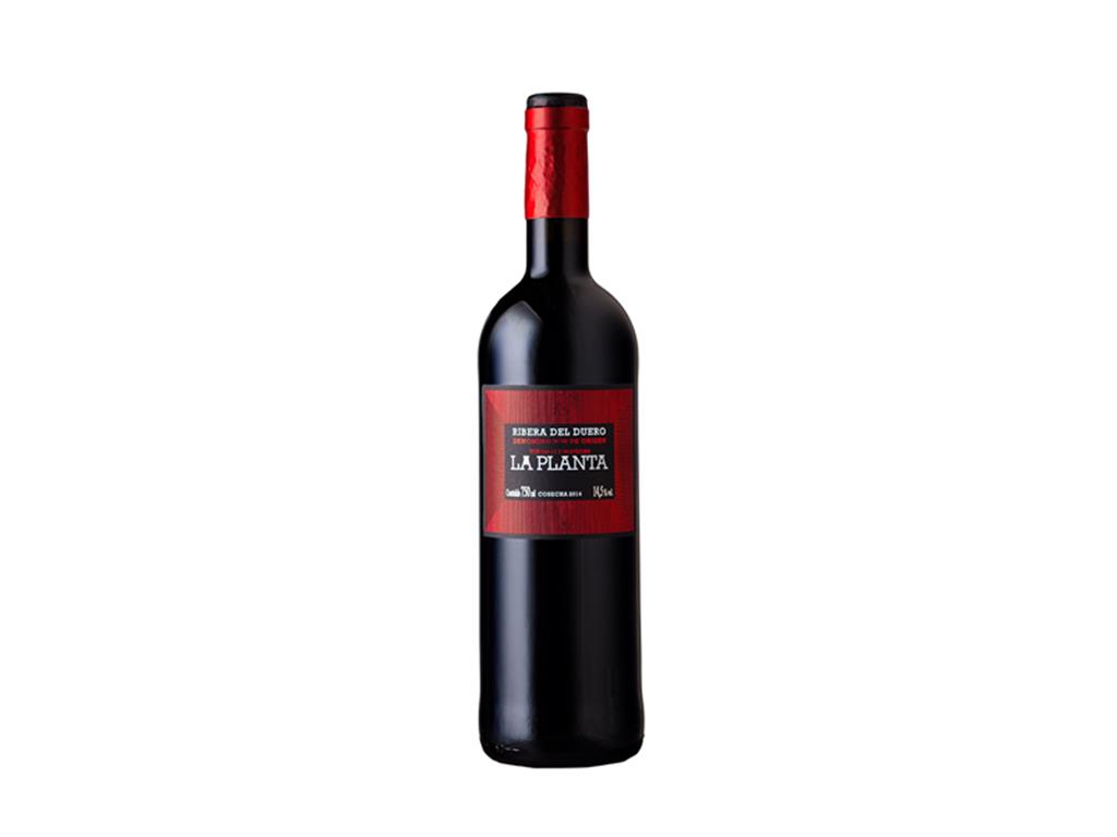 Vinho Tinto Seco La Planta Del Duero 750ml